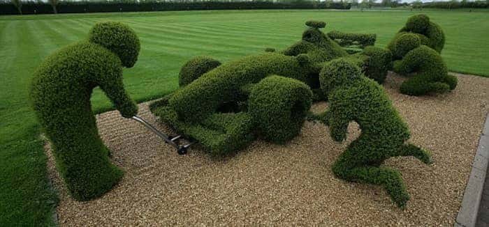 F1 hedge