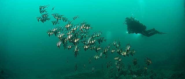 diving-jervis-bay-holiday-itnerary