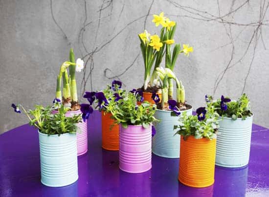 spring-gardening-hacks-airtasker-2