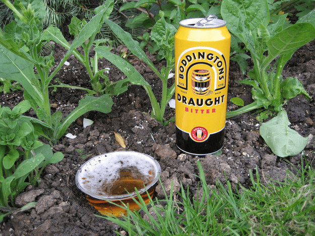 beer can slug repellant