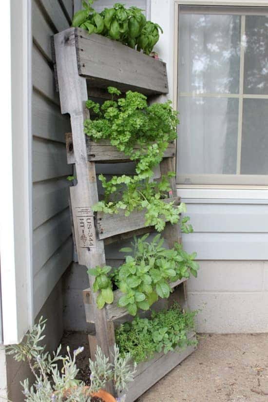 spring-gardening-hacks-airtasker-7