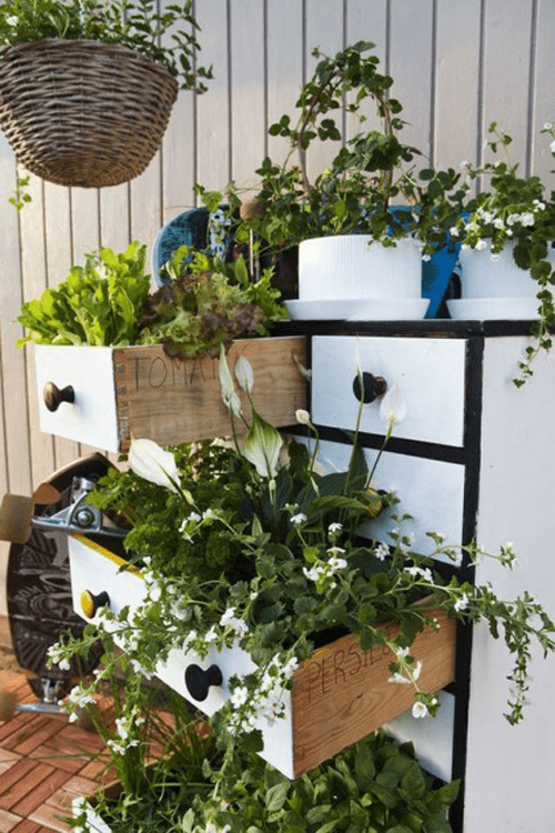 spring-gardening-hacks-airtasker-8