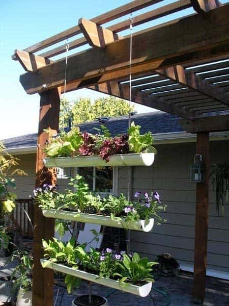 spring-gardening-hacks-airtasker-9