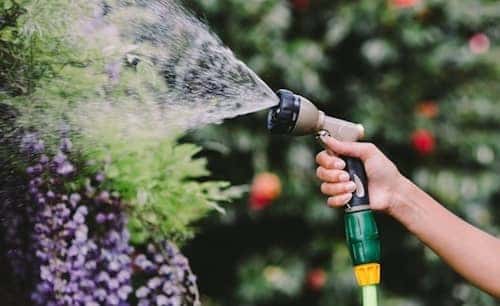 garden presents spray gun