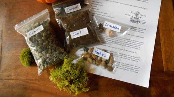 garden presents terrarium kit