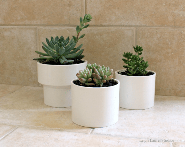 bathroom-greenery