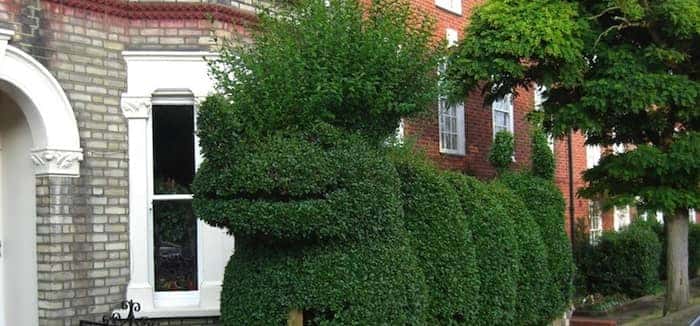 Ten Hilarious Garden Hedges