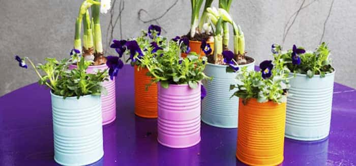 Spring Gardening Hacks