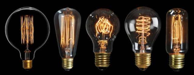 cat-bulbs-large-770x300