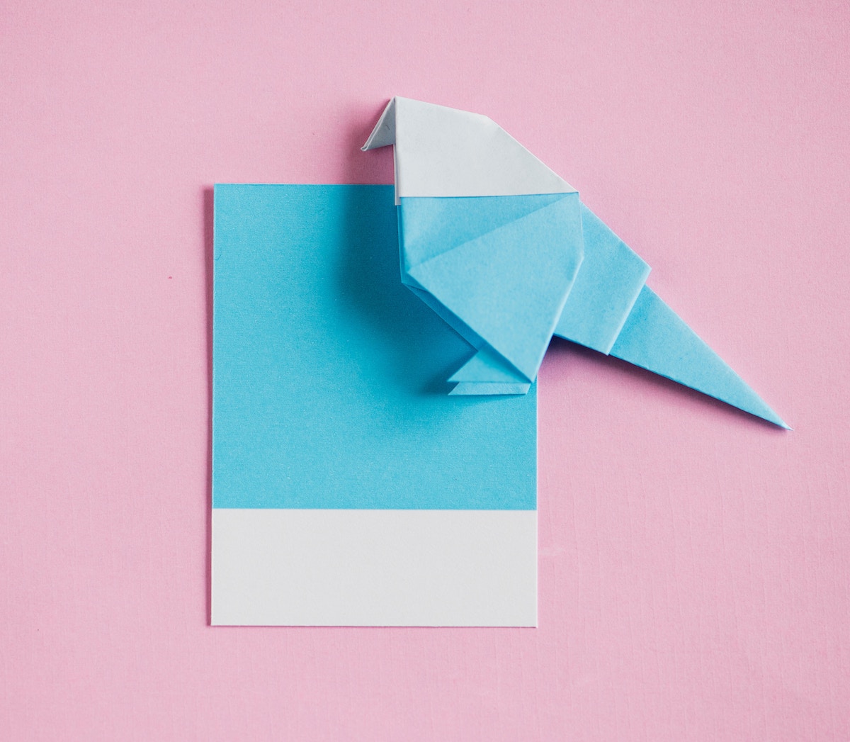 paper invitation origami bird