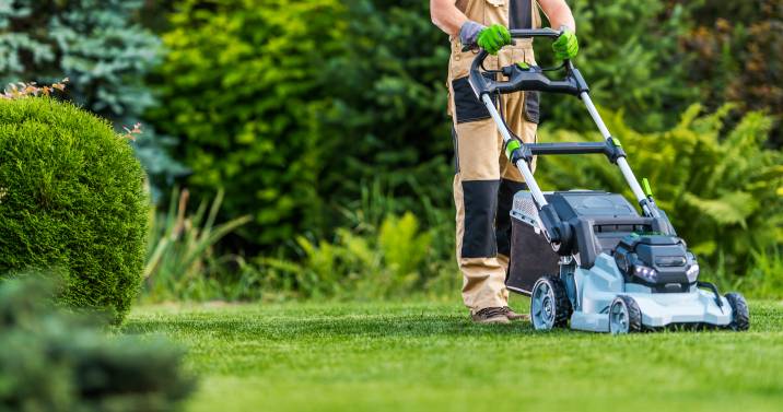 professional gardener mowing the lawn