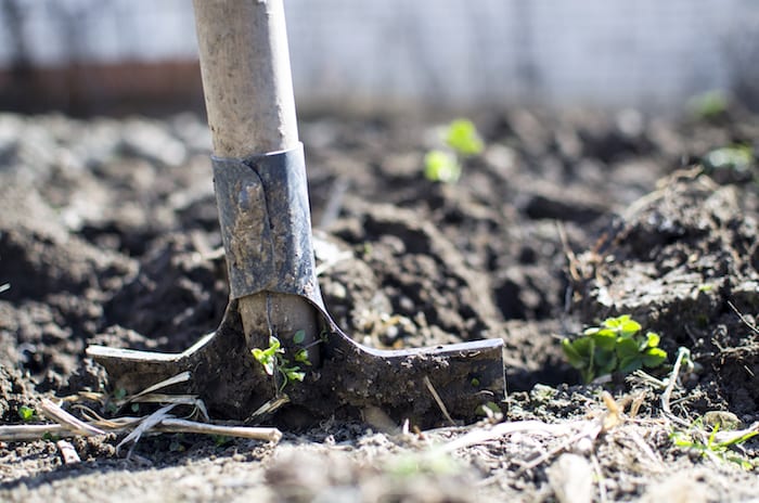 garden work