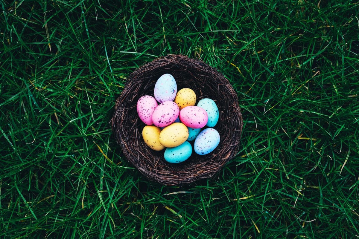 Hosting an Easter event? Hire an Eggtasker!
