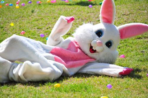 easter bunny playing in the grass