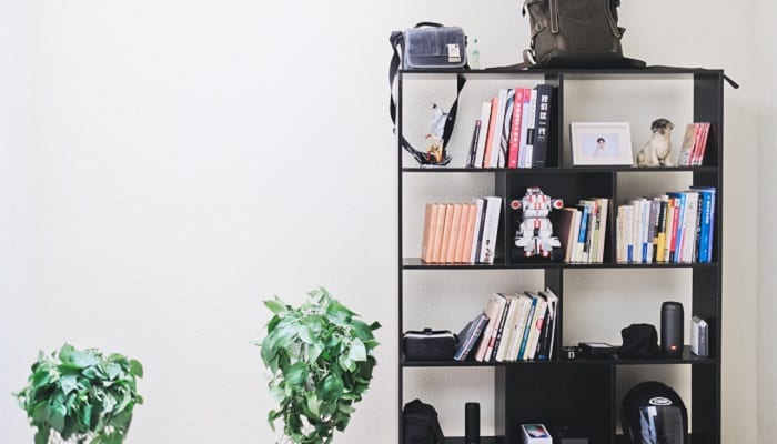 Cabinet maker bookshelf