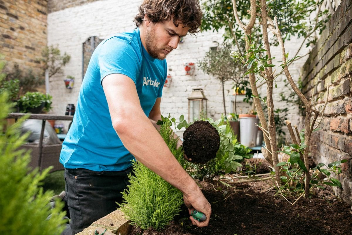 Must-know spring gardening tips