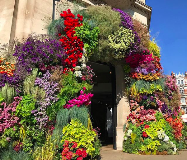 Floral Archway from Rag&Bone