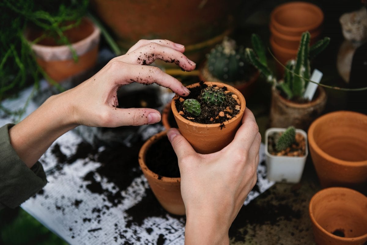 Gardening help in London