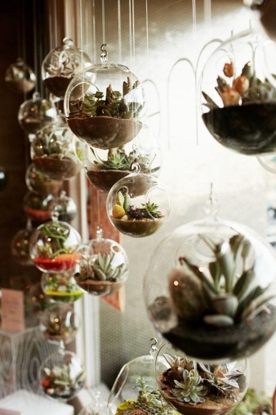 how to make a terrarium