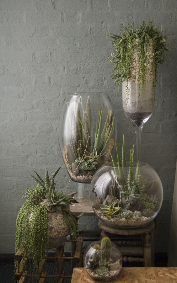 how to make a terrarium