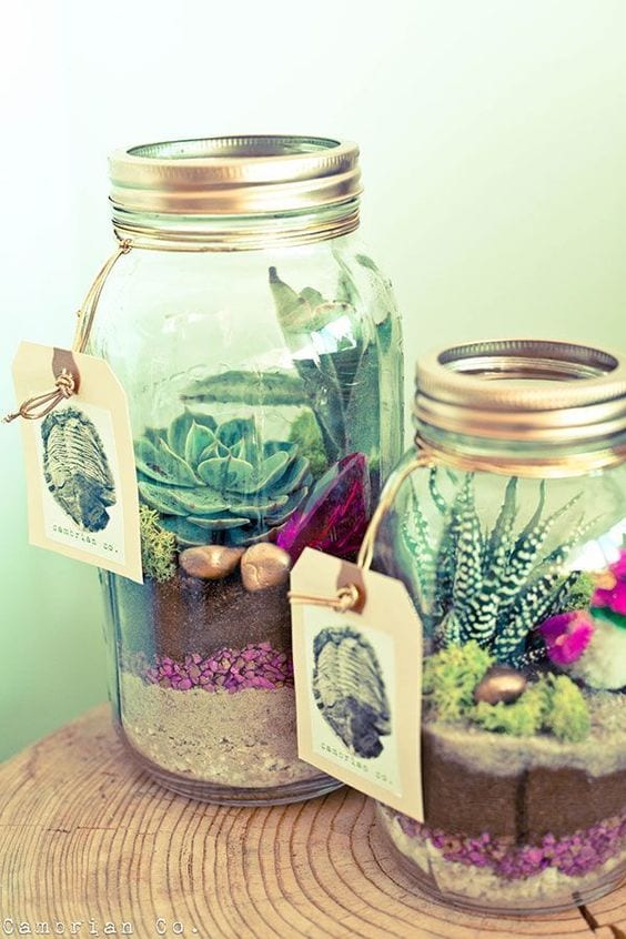 how to make a terrarium