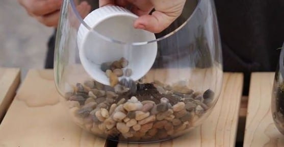 how to make a terrarium