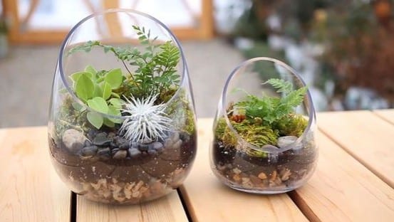 how to make a terrarium