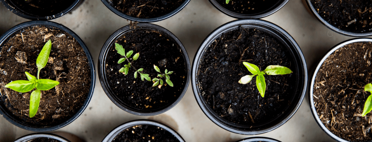 build your own compost bin