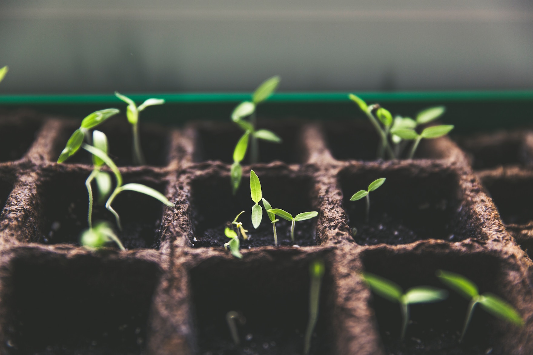 gardeners in London