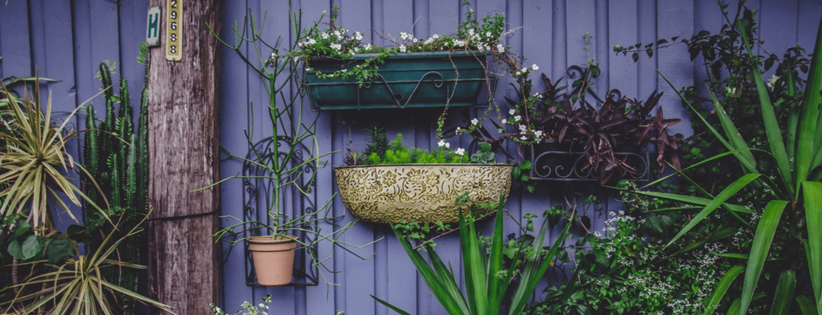 9 Gardening Accounts You Need To Be Following