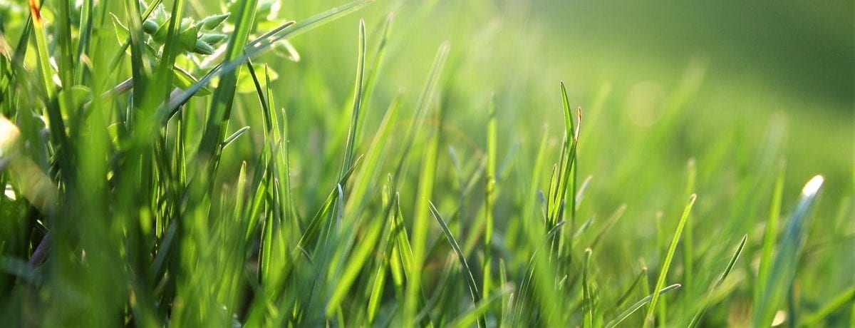 local gardeners in London