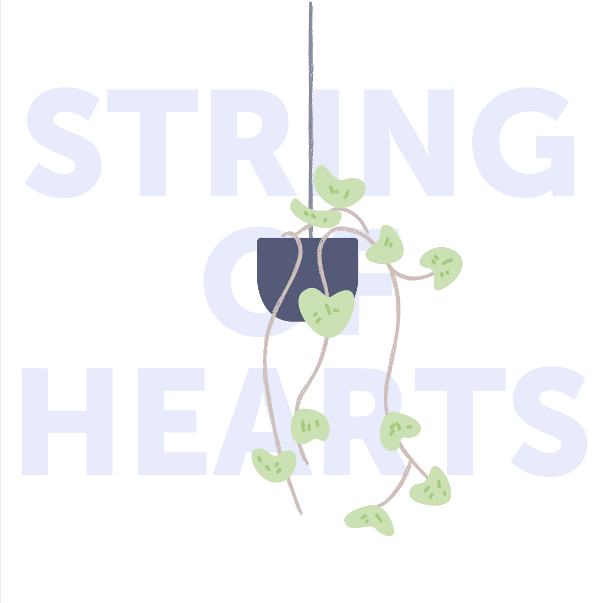 String of hearts indoor plant | Airtasker Life Skills