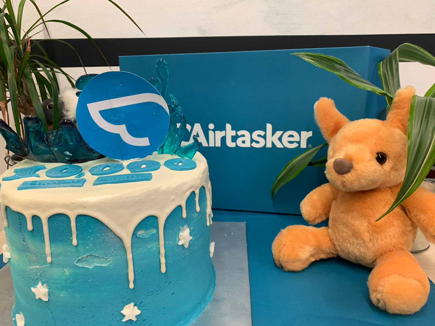 Airtasker Cake