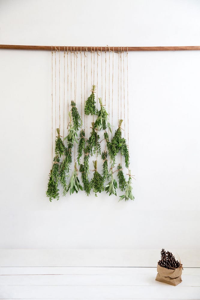 Bunches of herbs hanging on string in tree shape