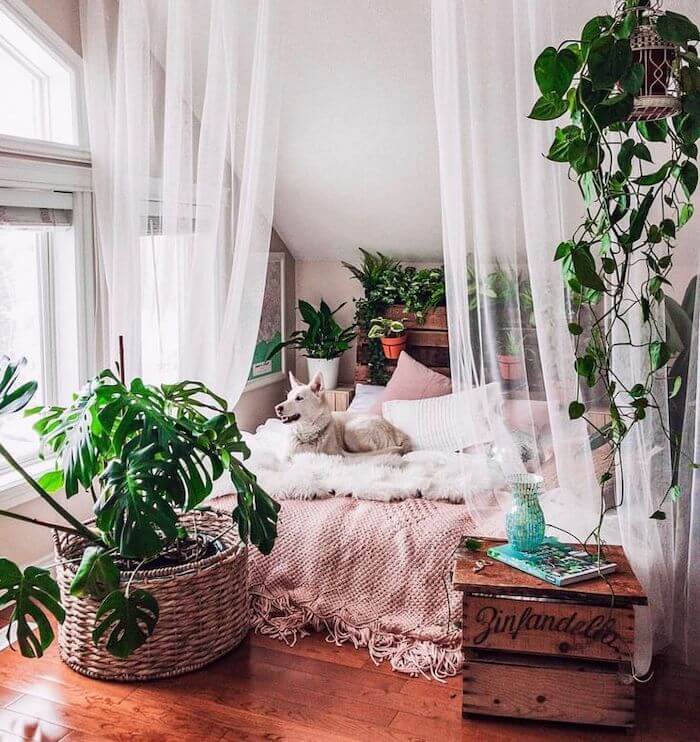 canopy-bed