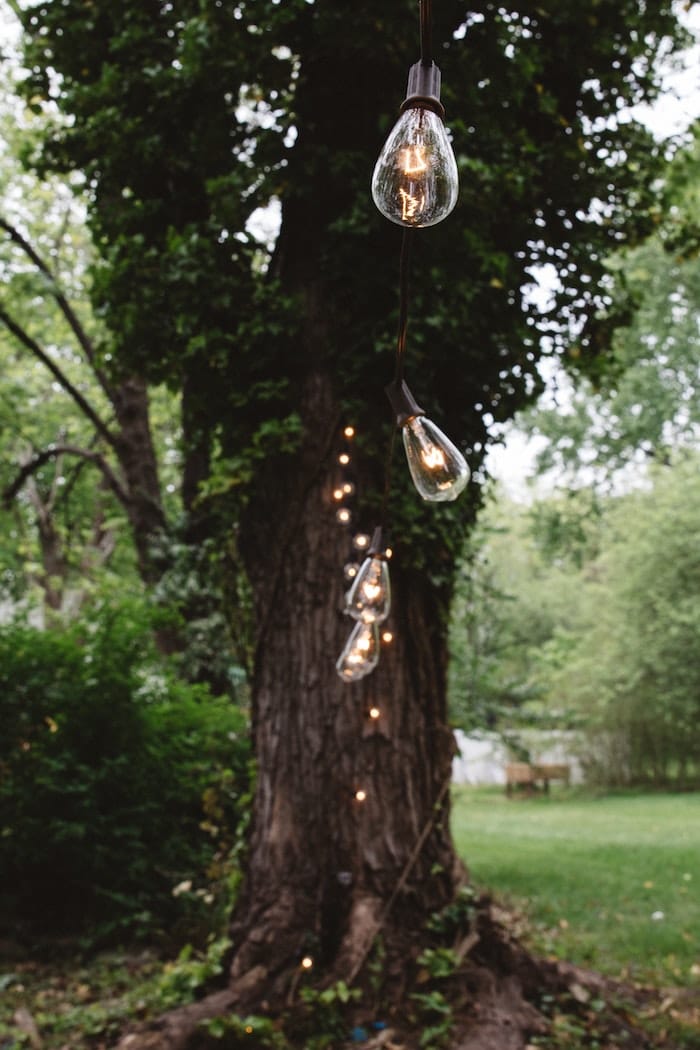 festoon lights