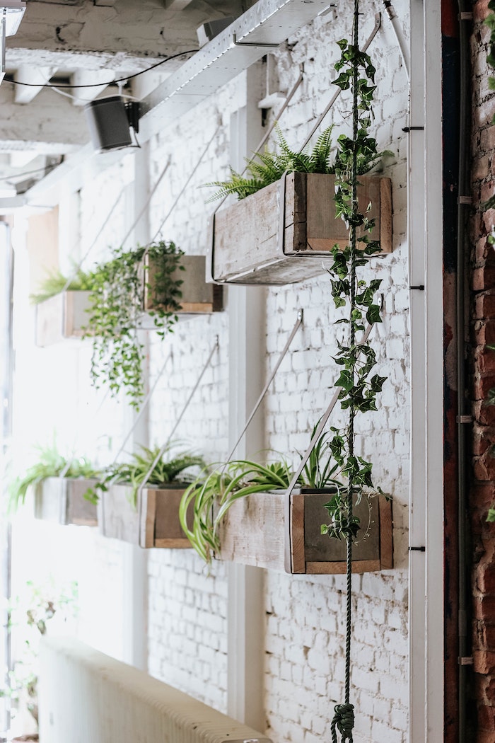 vertical garden wall