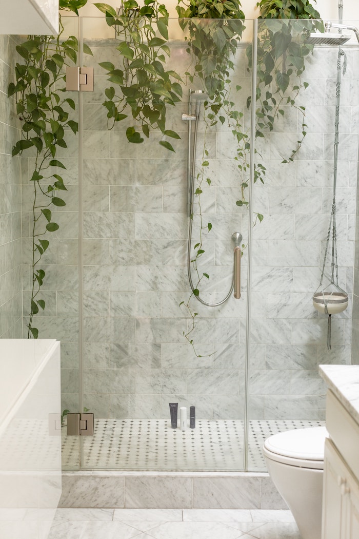 bathroom plant ideas