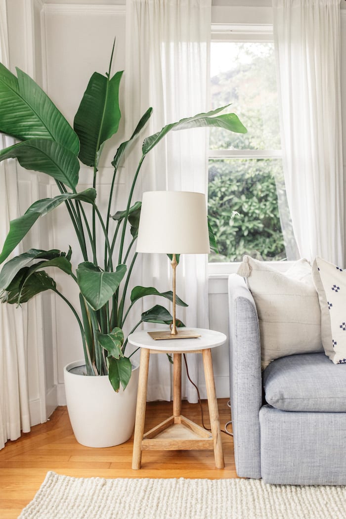 living-room-ideas-potted-plants.jpg