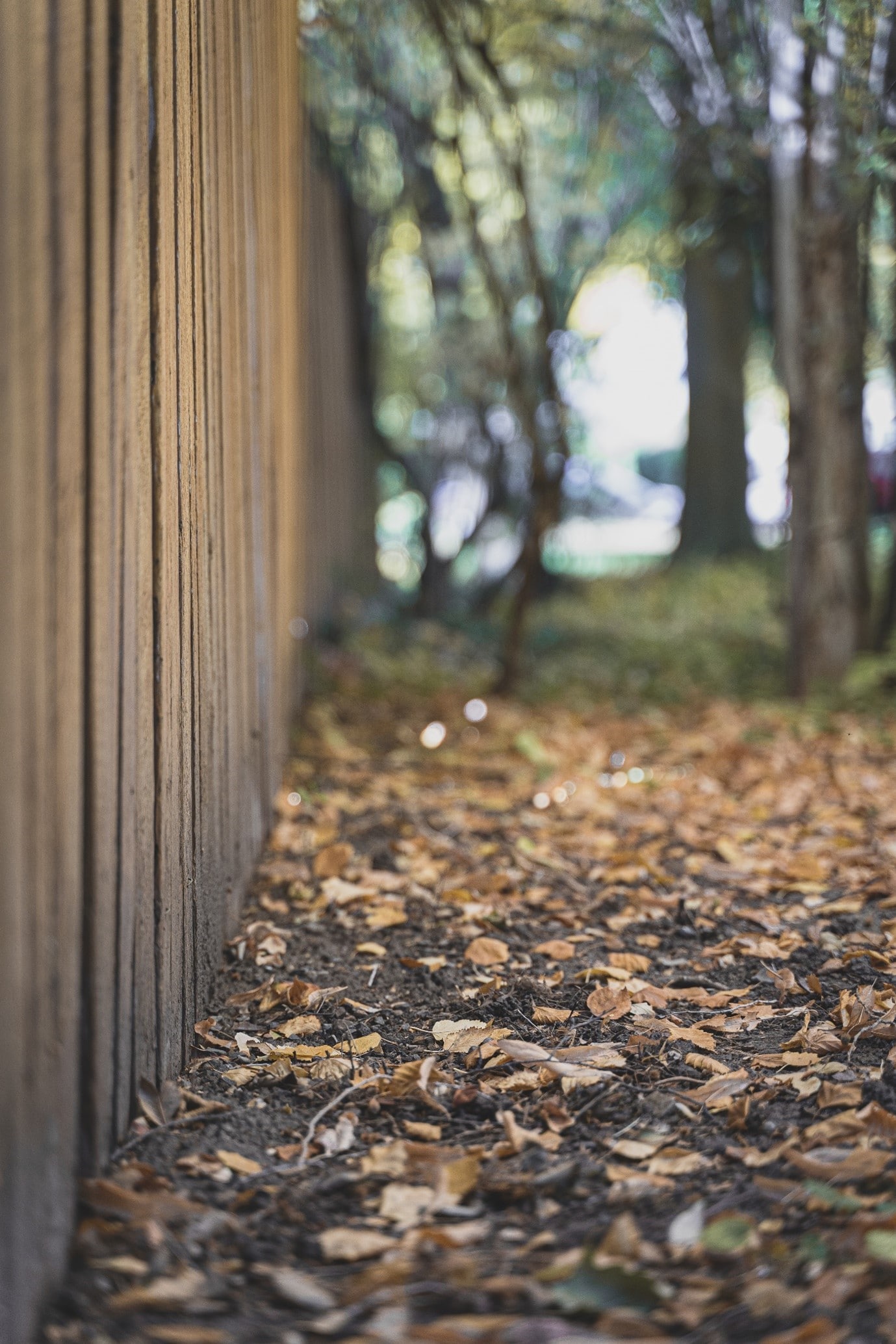 privacy-fence-brown-timber