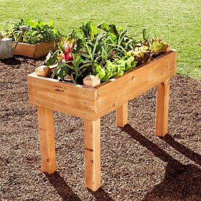 33 Raised Garden Bed Ideas Diy Garden Beds Garden Bed Edging