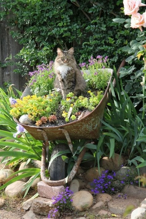 "Mi piace il suono delle lasagne da giardinaggio!"