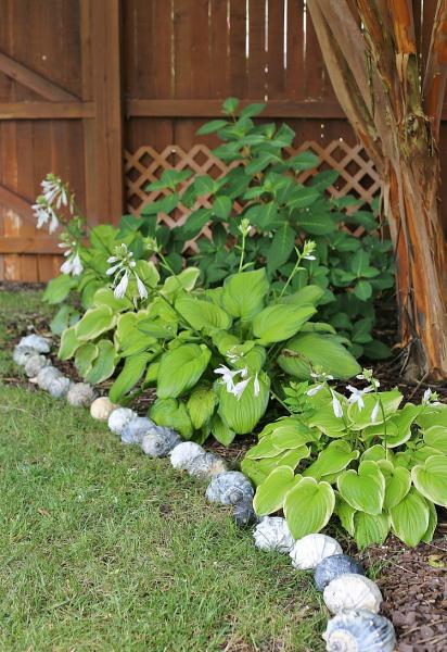 50 Great Garden Edging Ideas For Your Backyard Plants And Diy