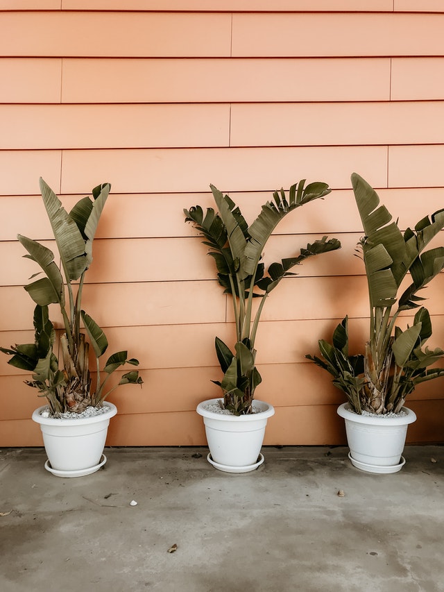 retaining-wall-orange