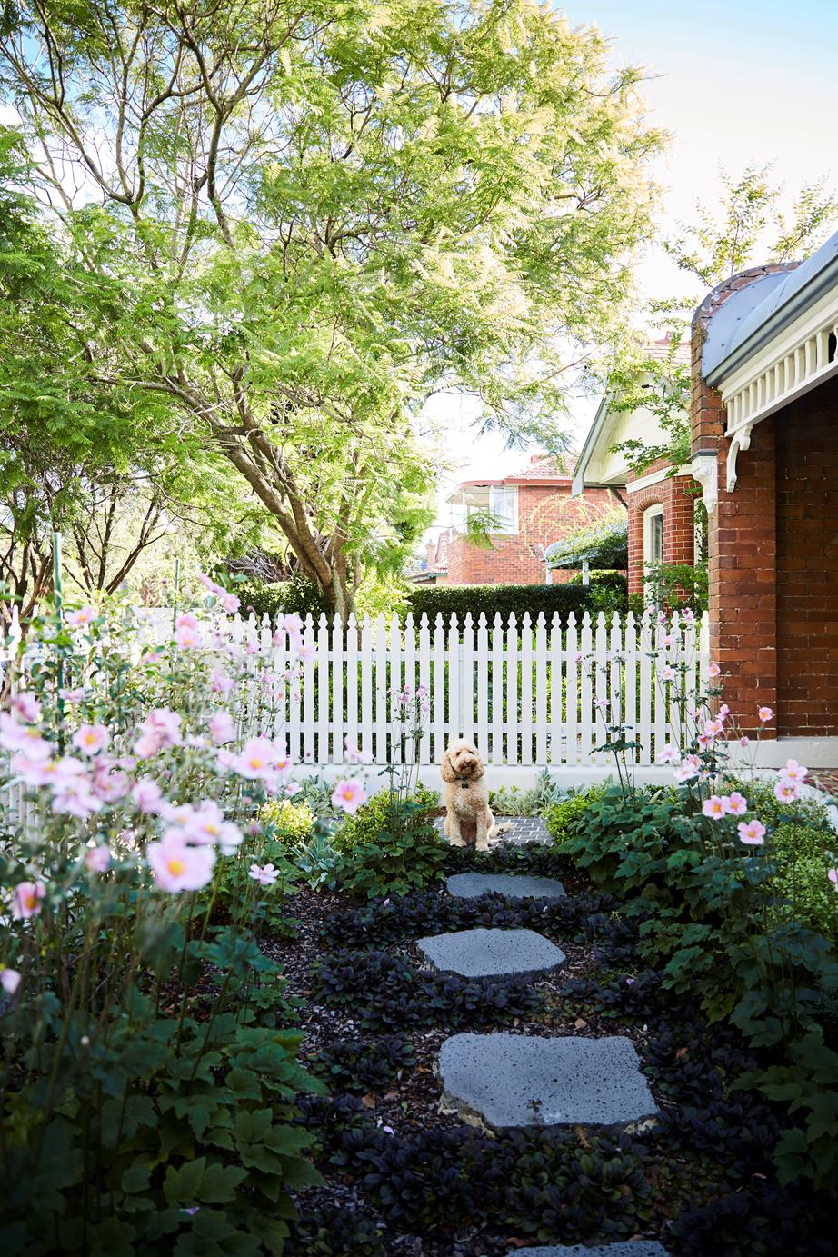 40 Fabulous Front Garden Ideas Low Maintenance And Budget Design