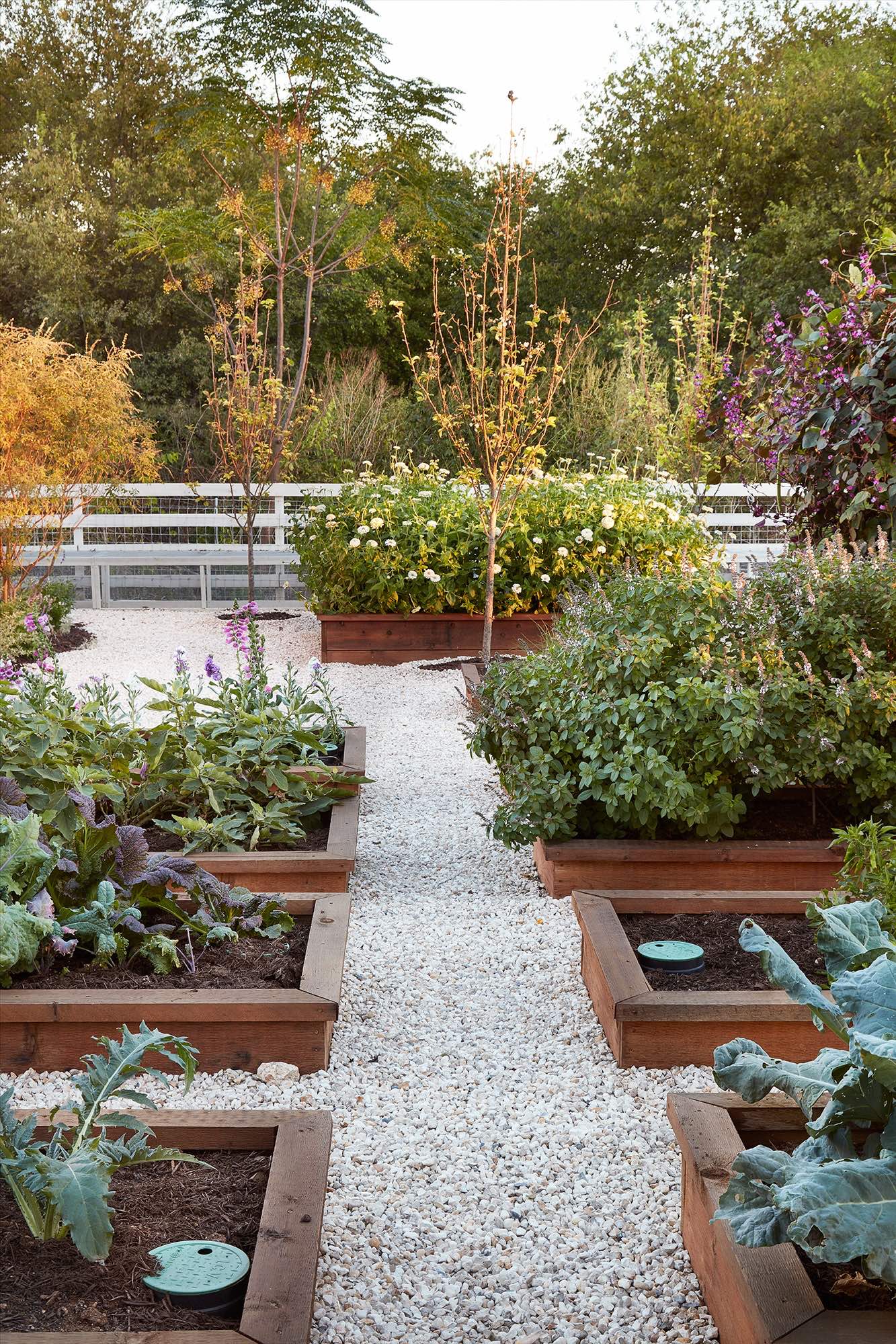 40 Fabulous Front Garden Ideas Low Maintenance And Budget Design