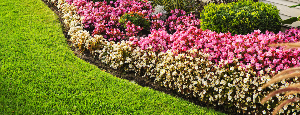 50 Great Garden Edging Ideas For Your Backyard Plants And Diy