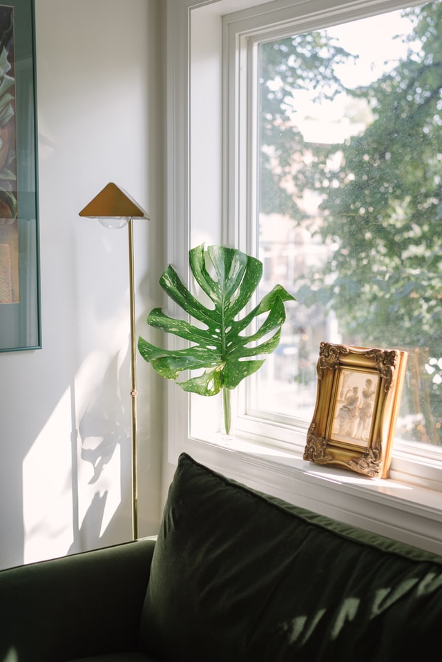 feng-shui-living-room-window