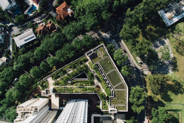 modern-house-green-roof