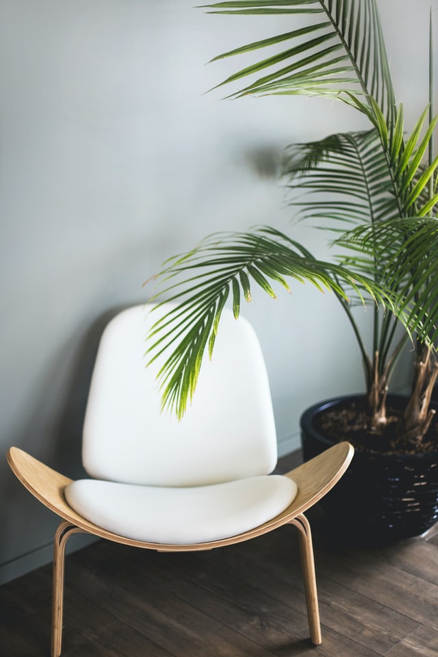 feng-shui-living-room-greenery